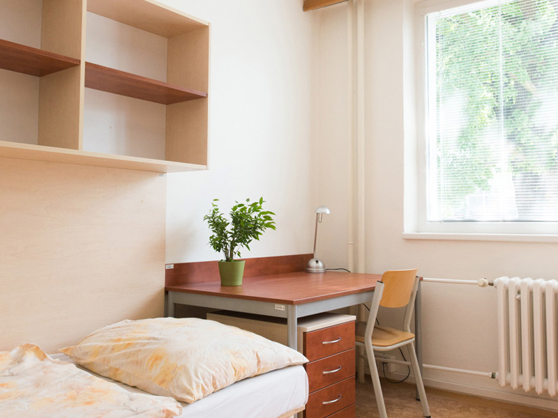 Pod Palackeho vrchem Room | MotoGP Brno Czech | Hotel Brno, Accommodation | GProoms.eu