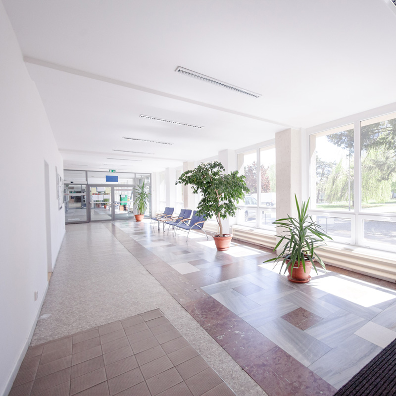 Hol Purkynovy koleje | MotoGP Brno Czechy | Hotel Brno, Zakwaterowanie | GProoms.eu